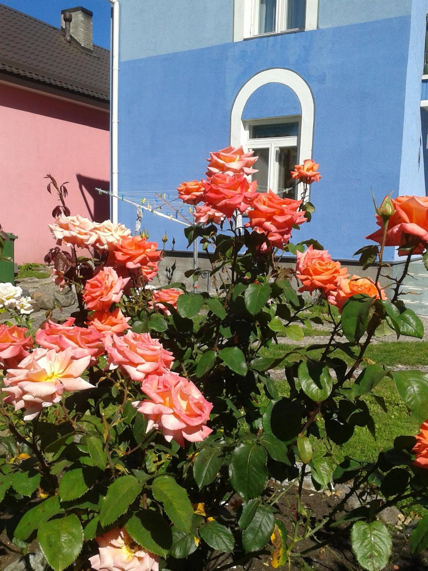 Hotel House In The Garden Parnawa Zewnętrze zdjęcie